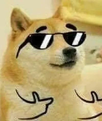 100 Ảnh Avatar Chó Meme Hài Hước Nhây Bựa cho hội người không thích nghiêm túc