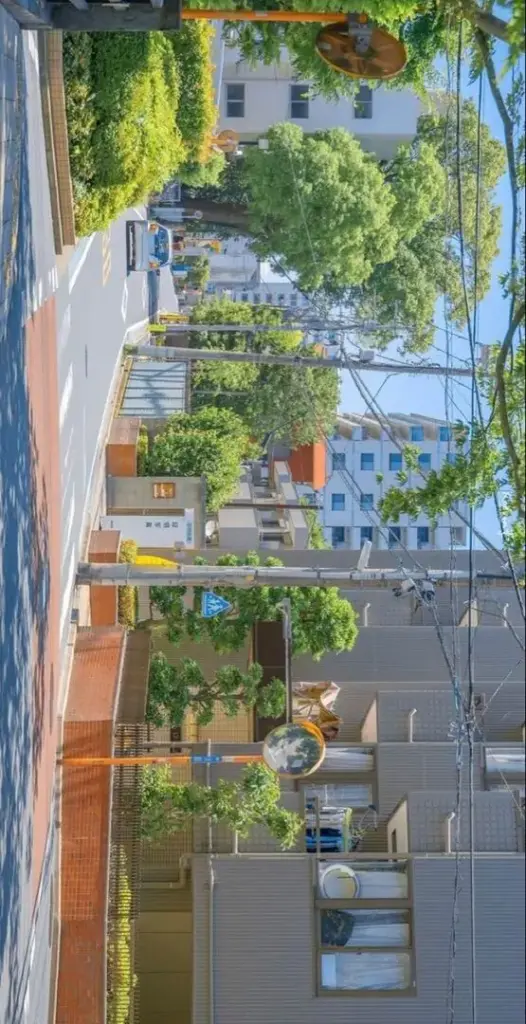 Ngôi nhà nhỏ cạnh hồ với hàng cây và hiên rộng hiện ra dưới nắng, bố cục gọn gàng khiến bức ảnh mang cảm giác đời sống yên ổn và dễ chịu