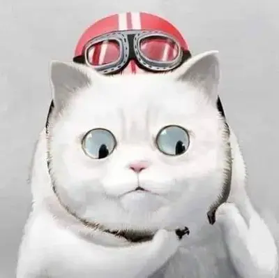 100+ Ảnh Avatar Mèo Vô Tri Meme hài hước vui nhộn thích hợp khoảnh khắc gây cười