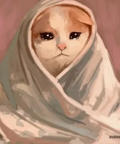 Bộ 65 Avatar Mèo Meme hài hước giúp profile bớt nhạt và tăng độ lầy khó cưỡng