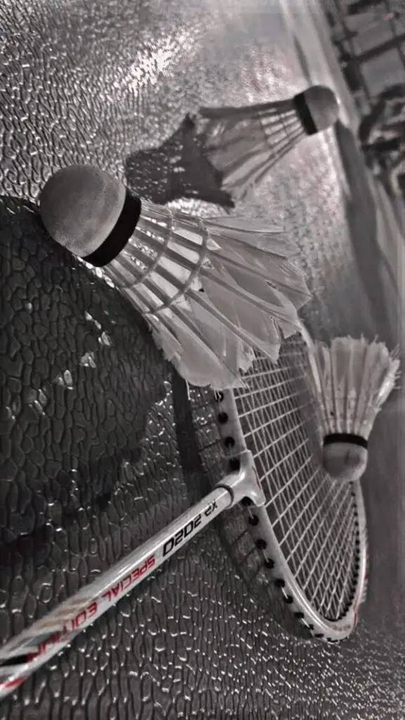 Hình nền lông cầu đen trắng tập trung vào từng chi tiết nhỏ của chiếc vợt và quả cầu mang đến vẻ đẹp vừa cổ điển vừa có chiều sâu không gian rõ rệt.