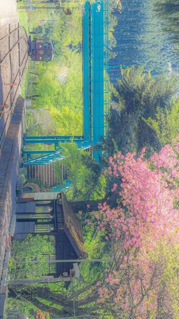 Khu vườn cổ với hồ nước nhỏ, hàng cây xanh và bụi hoa hồng hiện ra trong nắng sớm, toàn cảnh yên tĩnh gợi cảm giác ảnh màn hình cảnh đẹp rất thư thái